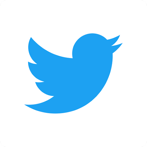 小蓝鸟twitter网页版入口